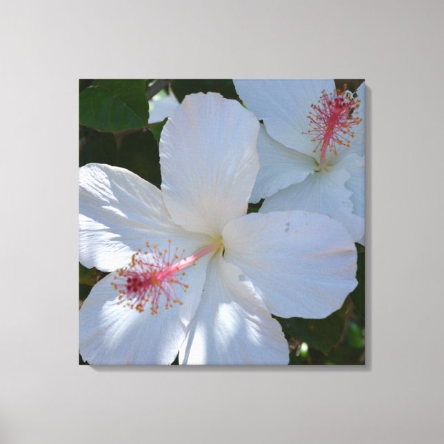 White Floral Frarance Wrapped Canvas (Front)