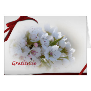 White Floral Gratitude Notes
