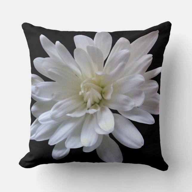White floral white daisy white mum white flower cushion (Front)