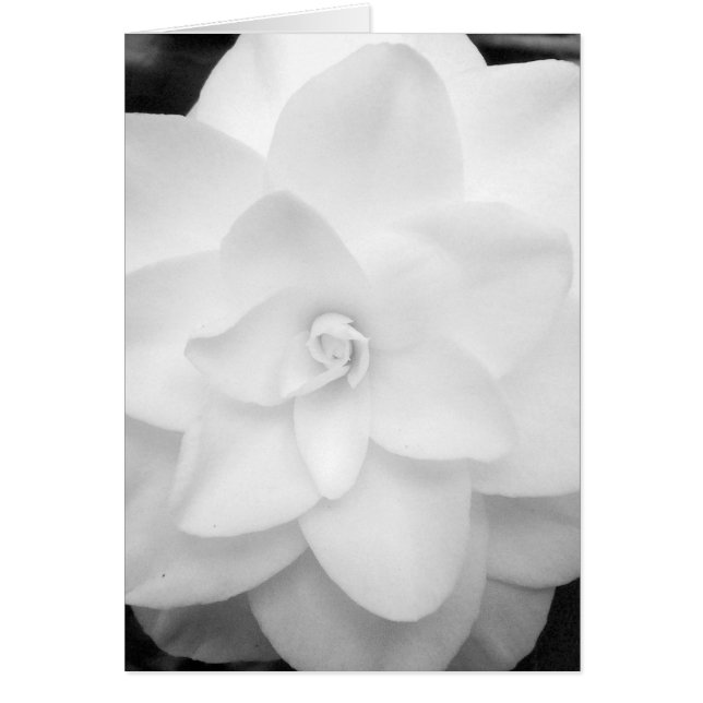 White Flower. (Black and White) - Customised (Front)
