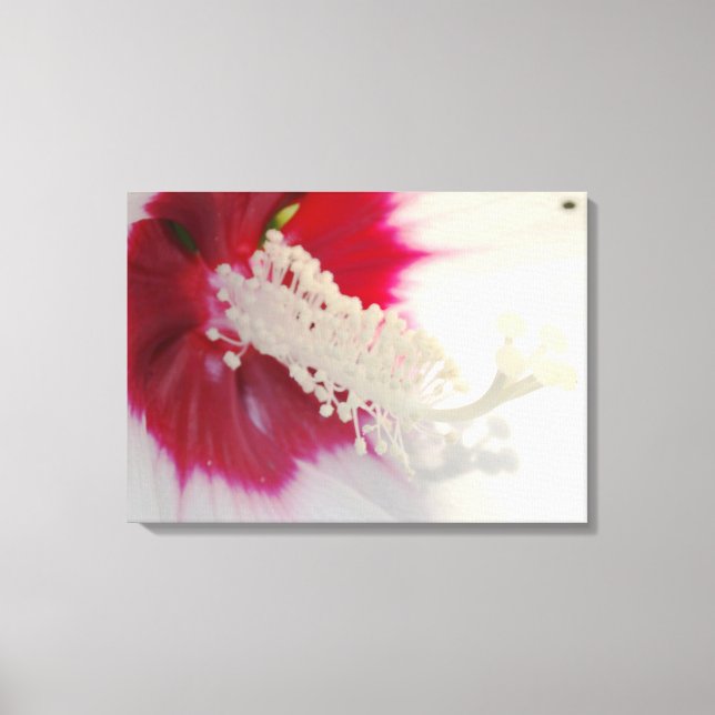 White Flower Blossom Photo Single Print (Front)