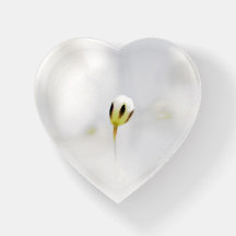 White Flower Bud Paperweight