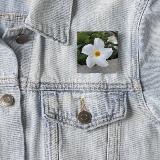 White flower button (In Situ)