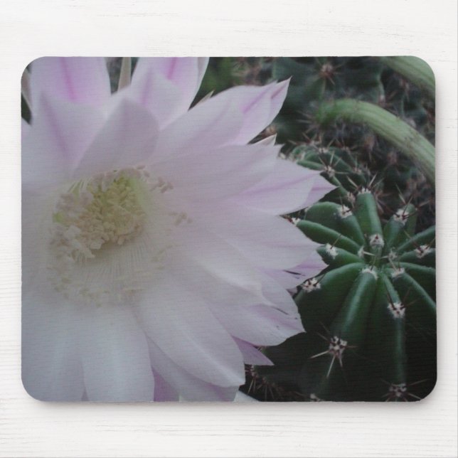 White Flower Cactus Mouse Mat (Front)