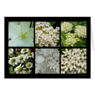 White Flower Card