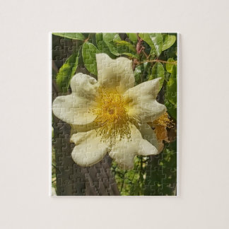 White flower  jigsaw puzzle