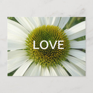 White Flower LOVE Cust. Postcard