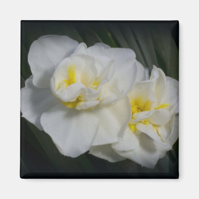 White Flower Magnet (Front)