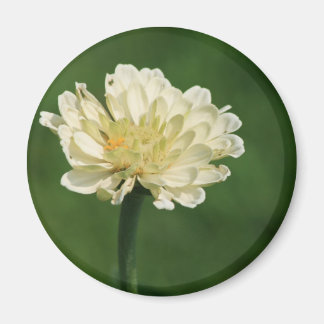 white flower magnet