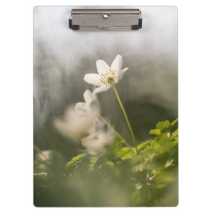 White Flower Nature Photo Clipboard