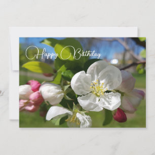 White flower of an apple tree. Happy Birthday Invitation