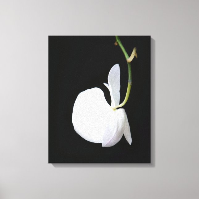 White Flower on Black Wrapped Canvas (Front)