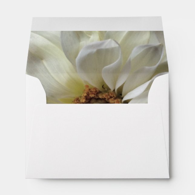 White flower on polka dots envelope (Back (Bottom))