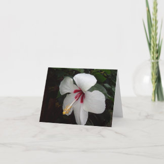 White Flower - Pensando en ti, Spanish Card