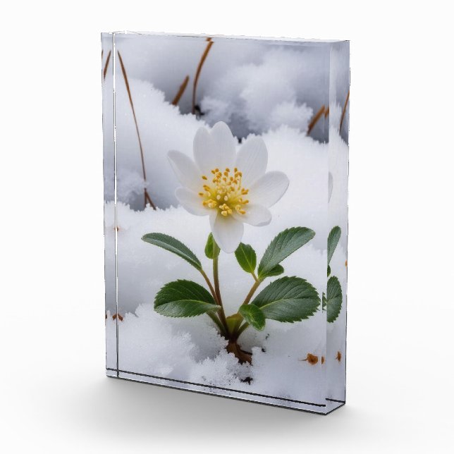 white flower photo block (Right)