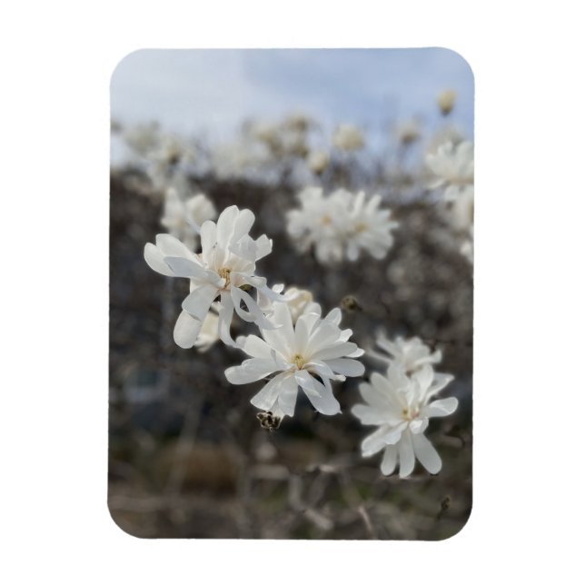 White Flower Photo Magnet (Vertical)