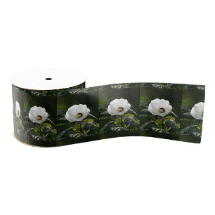 White Flower Photo Ribbon Grosgrain Ribbon