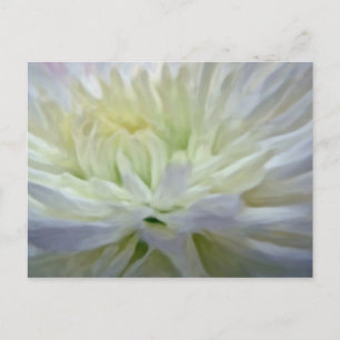 White flower postcard