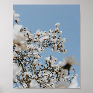 white flower sea poster