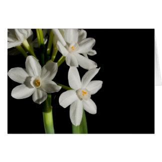 White Flower Spring Event And Wedding Card