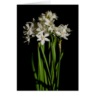 White Flower Spring Event And Wedding Card