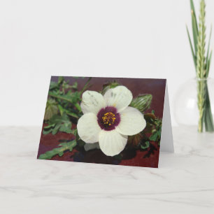White Flower Still Life all occasions Card