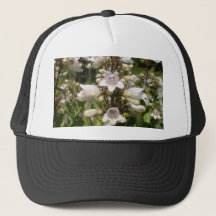 White Flower