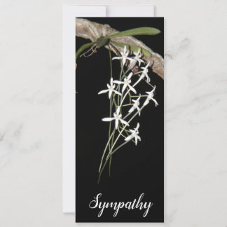 White Flower Vine Flat Card (fits #10 envelope)