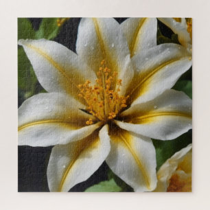 White flower with yellow accents Jigsaw Puzzle