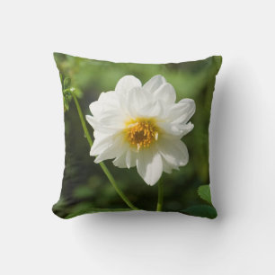 white flower yellow flower bee cushion