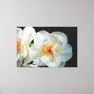 White Flowered Canvas