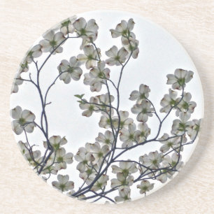 White Flowering Dogwood Coaster