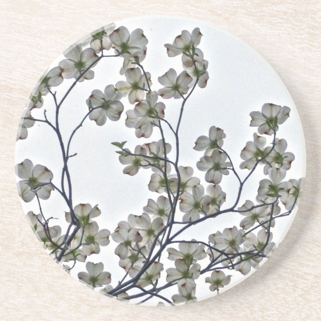 White Flowering Dogwood Coaster (Front)