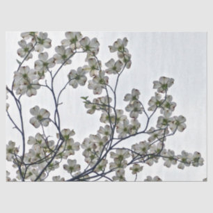 White Flowering Dogwood Tissue Paper