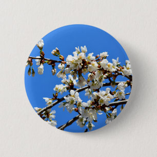 White flowering spring tree white floral blossom  6 cm round badge