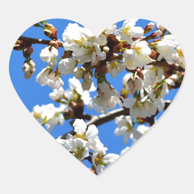 White flowering spring tree white floral blossom  heart sticker (Front)