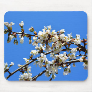 White flowering spring tree white floral blossom  mouse mat