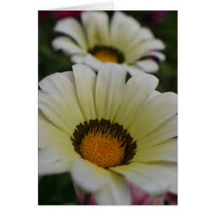 White flowers