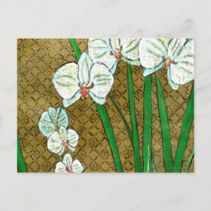 White Flowers and Green Stems on Brown Border Postcard