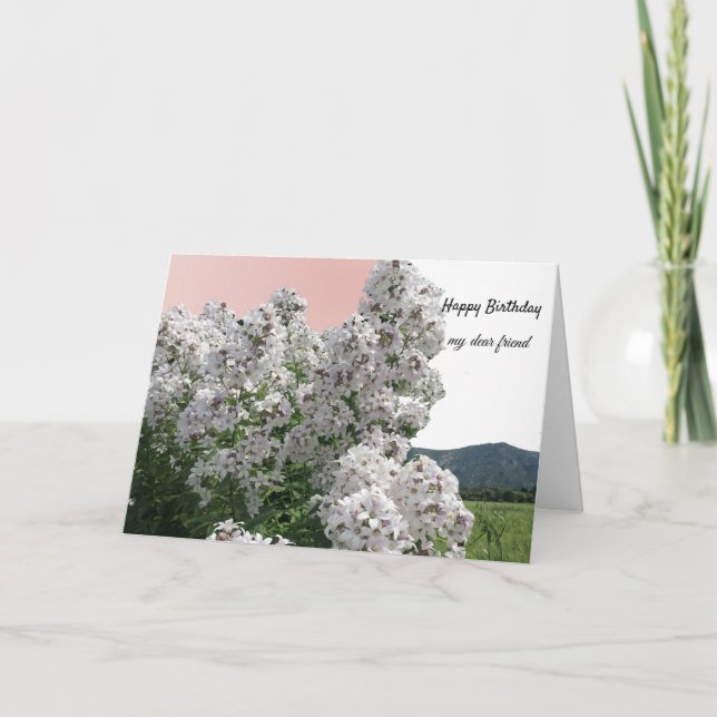 White Flowers and Nature Birthday Card (Front)
