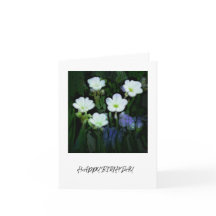 WHITE FLOWERS BIRTHDAY CARD