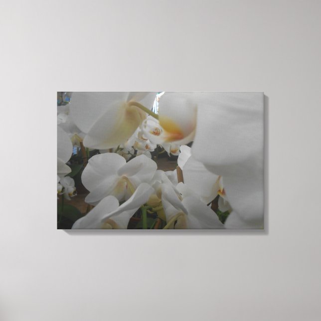 White Flowers Canvas Print (Front)
