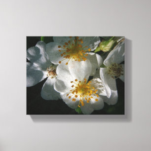White Flowers Canvas Print