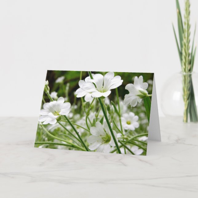 White Flowers Card (Front)