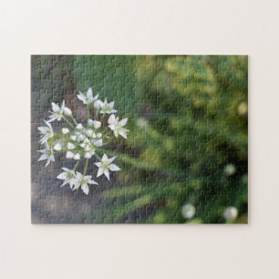 White Flowers Delicate Floral Blossom Nature Photo Jigsaw Puzzle