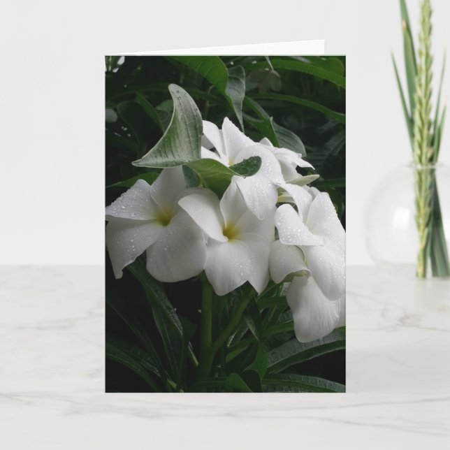 White Flowers Greeting Card (Front)