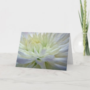 White Flowers Holiday Card