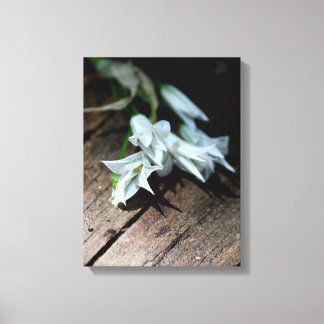 White Flowers On A Bench  Canvas Print