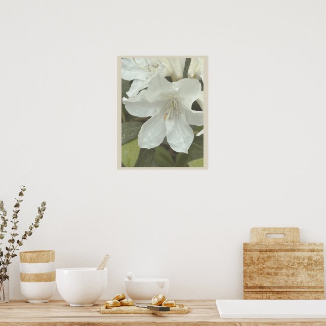 White Flowers Photo Poster (Kitchen)