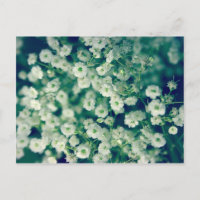 White flowers